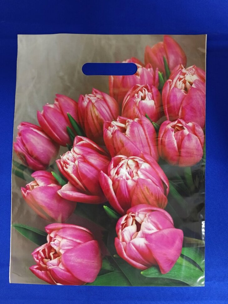 Пак с выруб. руч 31*40 60мик "Стэлла" (50/1000)